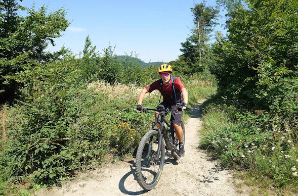 E-Mountainbike Tagestour Wien
