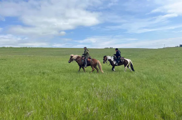 Reiten und Yoga mit Übernachtung Aschbach