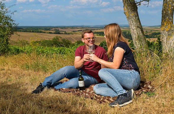 Picknick im Weingarten Hohenruppersdorf für 2